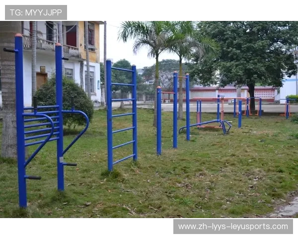 学校常见的健身器材种类与学生日常体育锻炼匹配建议