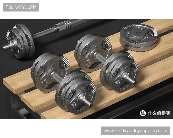 郑州健身器材市场分布与选购指南